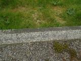 image of grave number 312740